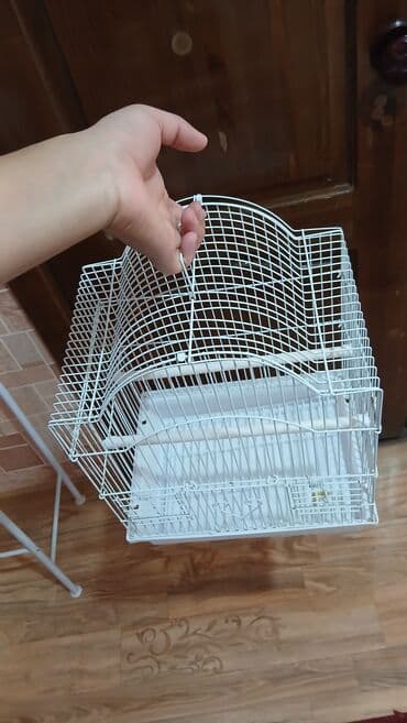 акустические системы спикерфоны колонка в виде собак: Клетка для попугая — 1