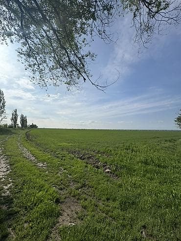 селхоз земли: 500 соток Для сельского хозяйства, Водопровод — 4