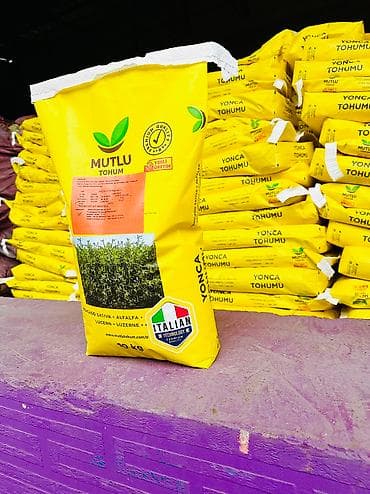 бенза пила: Семена оптом люцерна Беде урук Мутлу 🍀☘️☘️☘️☘️☘️ Италия 🇮🇹 — 4