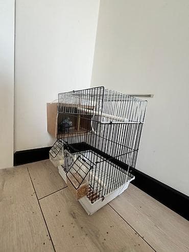 гнездо для попугаев: Волнистые попугаев с домиком Описание:баасы договорный - Просторная — 4