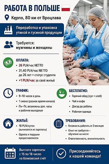 Работа: Требуется Упаковщик, Оплата: Почасовая, Без опыта — 2
