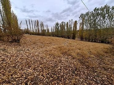 11 соток, Красная книга