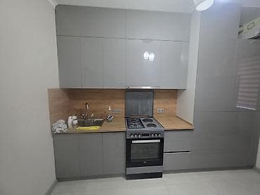 квартиры жер уй: 1 бөлмө, Менчик ээси, Чогуу жашоосу жок, Толугу менен эмереги бар — 10