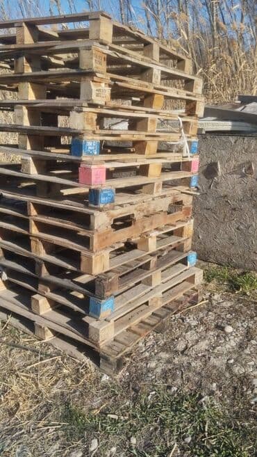 Поддон Для строительных материалов at lalafo.kg Поддон Для строительных материалов