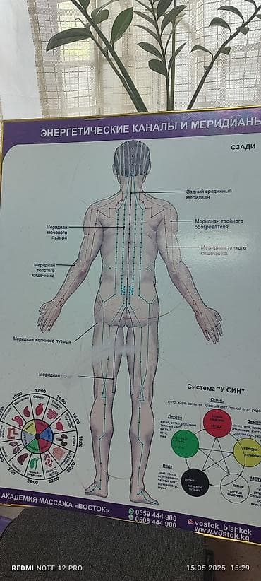 Массаж: Массаж | Лечебный массаж — 5