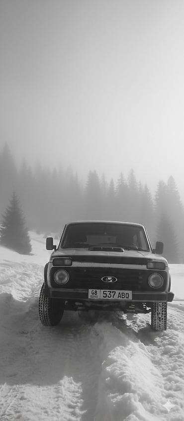 фара деу нубира: ВАЗ (ЛАДА) 2121 (4x4): 2003 г., 1.7 л, Механика, Бензин, Внедорожник — 3