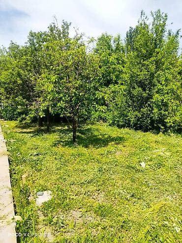 дом на 6 человек: Дача с садовым участком и домиком в южном вороты. - Участок: ровный — 7