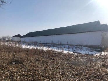 каракол аренда квартиры: Сатам Кой короо, 75 соток, Иштебеген, Жарым-жартылай жабдуулары менен, Электр энергиясы — 4