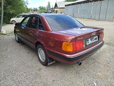 Audi: Audi 100: 1991 г., Седан — 7