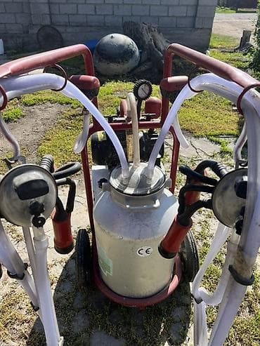 инкубатор норма: Доильный аппарат на тележке, двухпостовой Описание: - Передвижной — 3