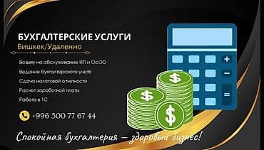 eliza: Предлагаются бухгалтерские услуги для индивидуальных предпринимателей — 1