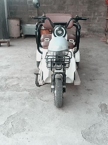 Электрический трехколесный скутер/рикша для пассажирских и