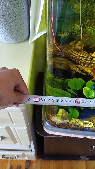 раков: Аквариумный комплект с тумбой - Объем: большой панорамный аквариум — 2