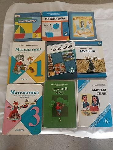 Школьные учебники для начальных и средних классов (русские и