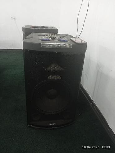 акустические системы sky с микрофоном: Пара портативных акустических систем SKG - Формат: напольные активные — 2