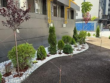 3: 3 комнаты, 92 м², Тунгуч мкр Элитка, 11 этаж, Евроремонт — 3