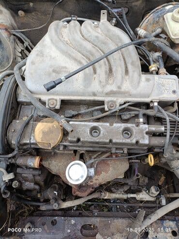 мотор на опель зафира: Бензиновый мотор Opel 1.6 л, Б/у, Германия — 2