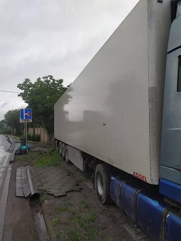 daf 75: Тягач, DAF, Холодильник, рефрижератор — 3