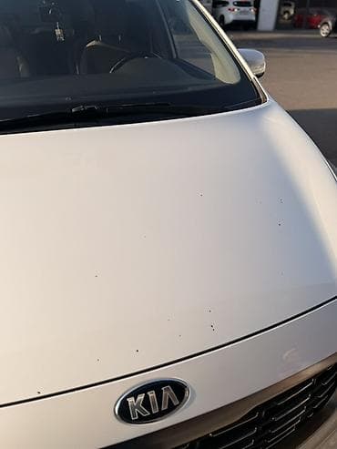 lancer 9: Kia Carnival: 2019 г., 2.2 л, Автомат, Дизель, Минивэн — 7
