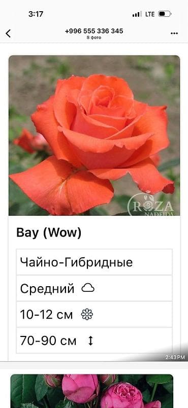 электро м: Саженцы — 4