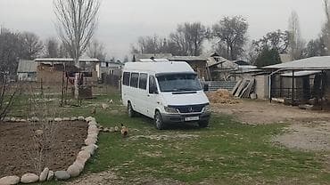 бдф кузов: Mercedes-Benz Спринтер: 2002 г., 2.9 л, Ручные, Дизель, Бус — 2