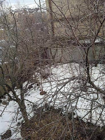 короб дома: Продаётся загородный дом с участком. - Дом одноэтажный — 1