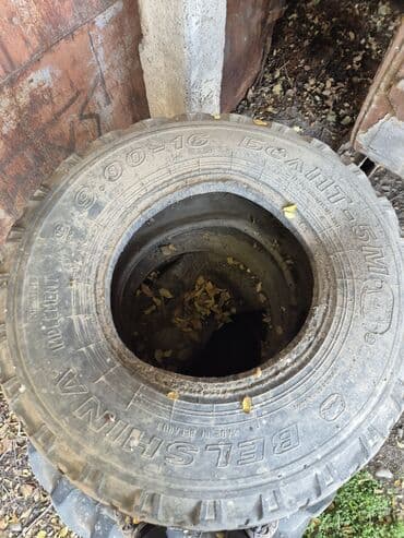 шины бу бишкек оптом: Шины R 16, С/х техника, Belshyna — 2