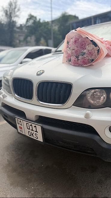 bmw e6: BMW X5: 2004 г., 3 л, Автомат, Бензин, Кроссовер — 1