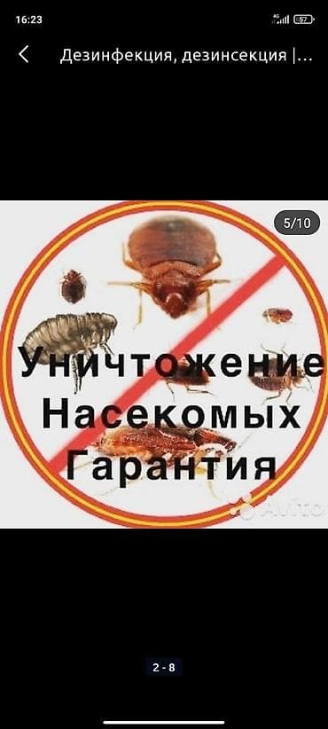 Клининговые услуги: Дезинфекция, дезинсекция, | Блохи, Вирусы, микробы, Клопы, | Квартиры, Подъезды, Транспорт — 2
