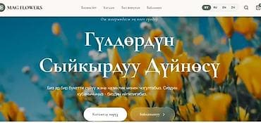 j 3: Веб-сайты, Лендинг страницы — 9