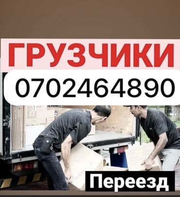 Грузчик. Больше 6 лет опыта