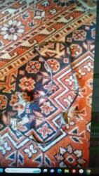 тормозные колодки nibk: NissanMaximA34-2005г.,Тормозные шланги(передние) В хорошем — 18