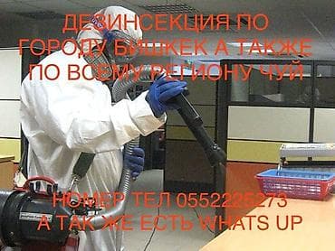 б у дорожки: Дезинфекция, дезинсекция, | Блохи, Вирусы, микробы, Клопы, | Дома, Кафе, магазины, Подъезды — 1