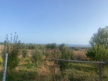 Үйдү ижарага алам: Үй, 80 кв. м, 3 бөлмө, Менчик ээси, Косметикалык оңдоо — 18