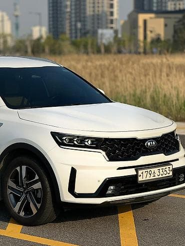 баа: Kia Sorento: 2020 г., 1.6 л, Гибрид — 3