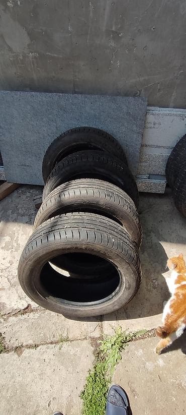 куплю шины грузовые: Шины 205 / 55 / R 16, Лето, Комплект, Легкий коммерческий транспорт (C/LT), Tigar — 1
