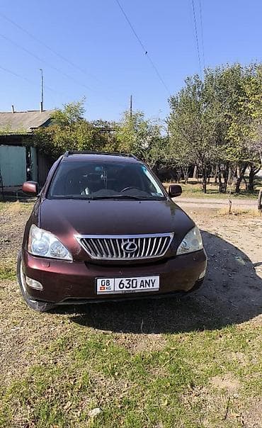 Lexus RX: 2008 г., Автомат, Бензин