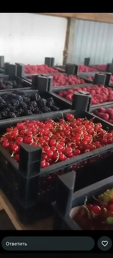 биндеры 18 листов для дома: Пластиковый Ящик — 8