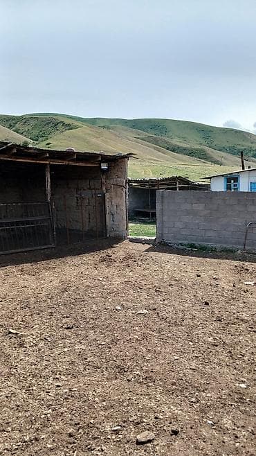 беловодское продажа квартир: 100 соток, Красная книга — 4