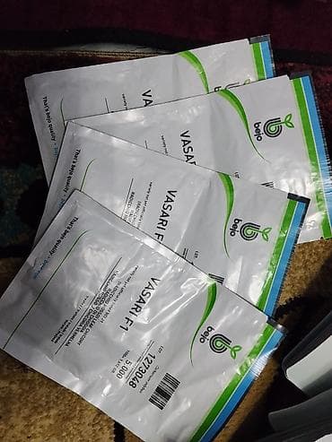 арбуз зимой где купить: Семена арбуза Hollar Premium — сорт Crimson Sweet - Культура — 8