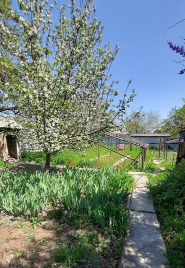 продаю дом аламединский рынок: Дом, 65 м², 4 комнаты, Риэлтор, Старый ремонт — 3