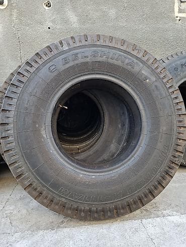 11 r20: Шины R 20, Новый, Грузовики/Автобусы, Belshyna — 1