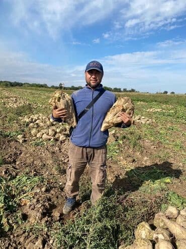 розы корни: Семена овощей: Свекла, Самовывоз, Бесплатная доставка, Платная доставка — 7