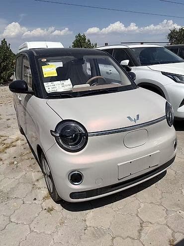 byd e9: Microcar : 2026 г., Электромобиль, Хэтчбэк — 1