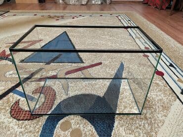 аквариумная рыбка: Аквариум новый. Объём 40 л. Есть аквариумные рыбки, растения — 1