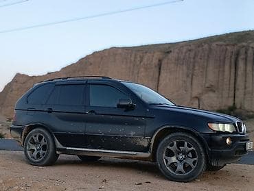mini kuper: BMW X5: 2002 г., 3 л, Автомат, Дизель, Кроссовер — 1
