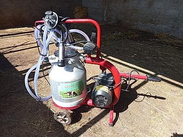 Доильный аппарат + электрический сепаратор молока Комплект для