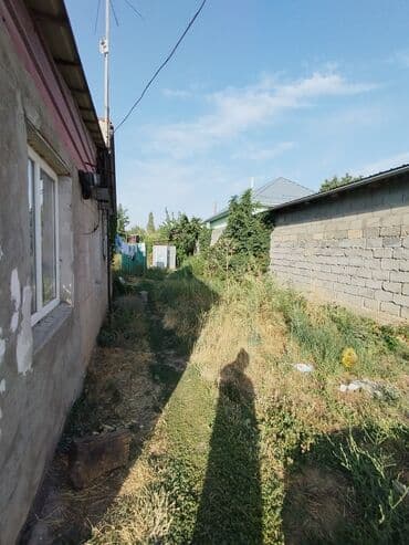кашар кызыл туу: 8 соток, Курулуш, Кызыл китеп — 7