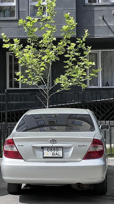 тойота кампи: Toyota Camry: 2004 г., 2.4 л, Автомат, Бензин, Седан — 8
