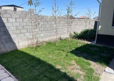 продаю дом ак суу: Дом, 200 м², 5 комнат, Собственник, Евроремонт — 23